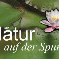 Der Natur auf der Spur